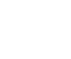 ICF Belgium Charter Chapter