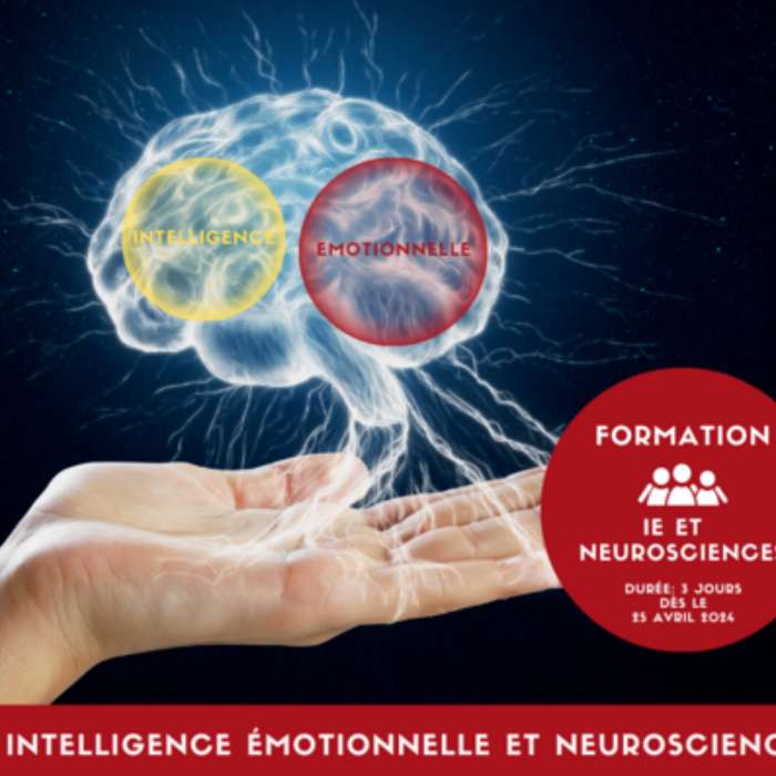 Formation Intelligence Emotionnelle et Neurosciences