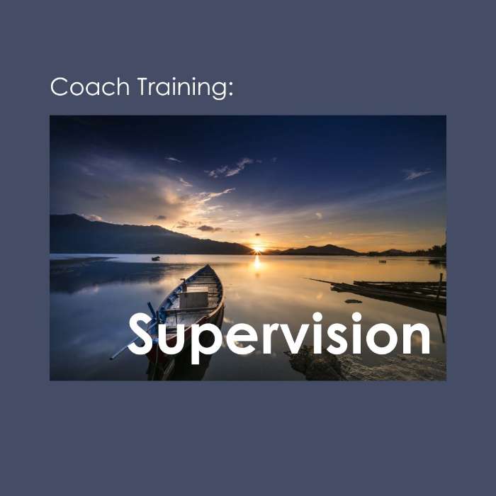 Cycle de Supervision - Avril 2024